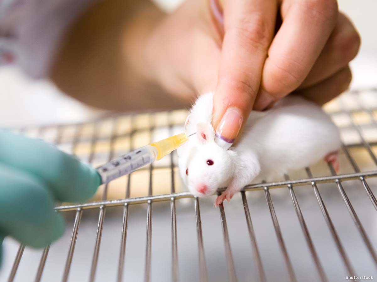 In Defense of Animals